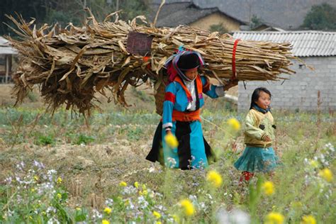  Being Farmers: A Sociological Exploration of Rural Vietnamese Life!