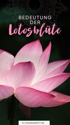  Einführung in die Essenz des Lotus: Eine Reise durch den Zen-Buddhismus