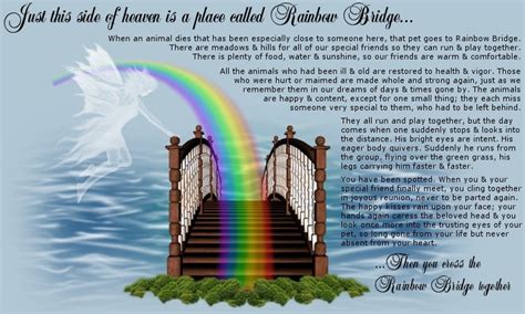 Rainbow Bridge: Eine Geschichte von Liebe, Verlust und dem Beginn eines neuen Lebens