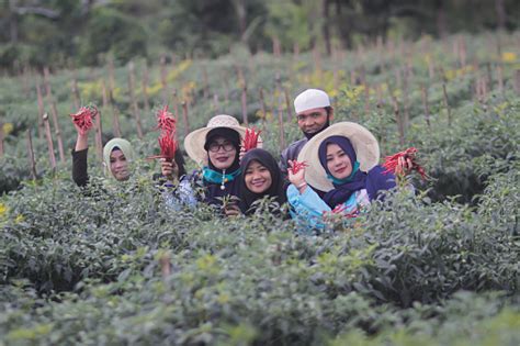  Yield: Stories from an Indonesian Farmer -  Eine Ode an die Erde und ihre Geschichten