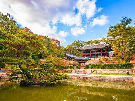  Korean Gardening Secrets: A Poetic Journey Through Nature's Canvas